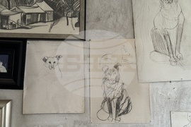 Стефанка Стойчева - „Погледни ме“ - изложба - предстоящо откриване - художествено ателие