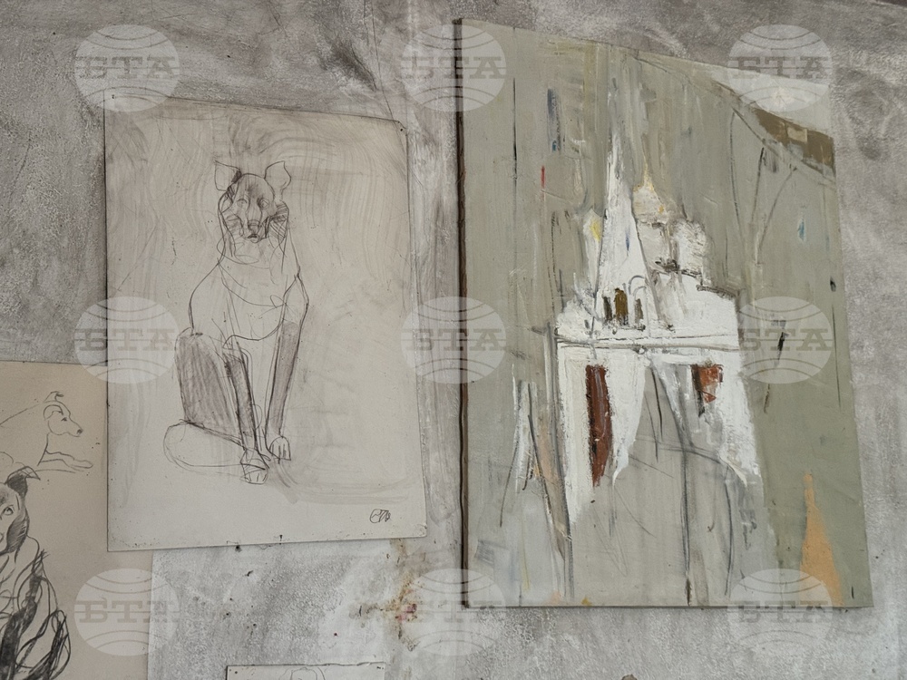 Стефанка Стойчева - „Погледни ме“ - изложба - предстоящо откриване - художествено ателие