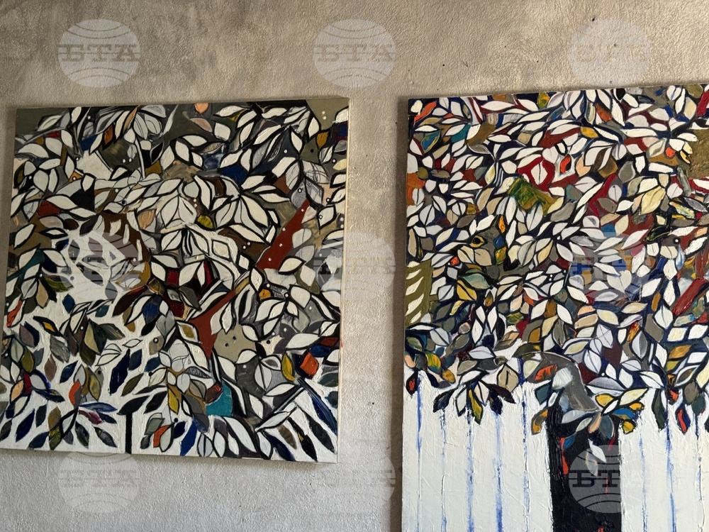 Стефанка Стойчева - „Погледни ме“ - изложба - предстоящо откриване - художествено ателие