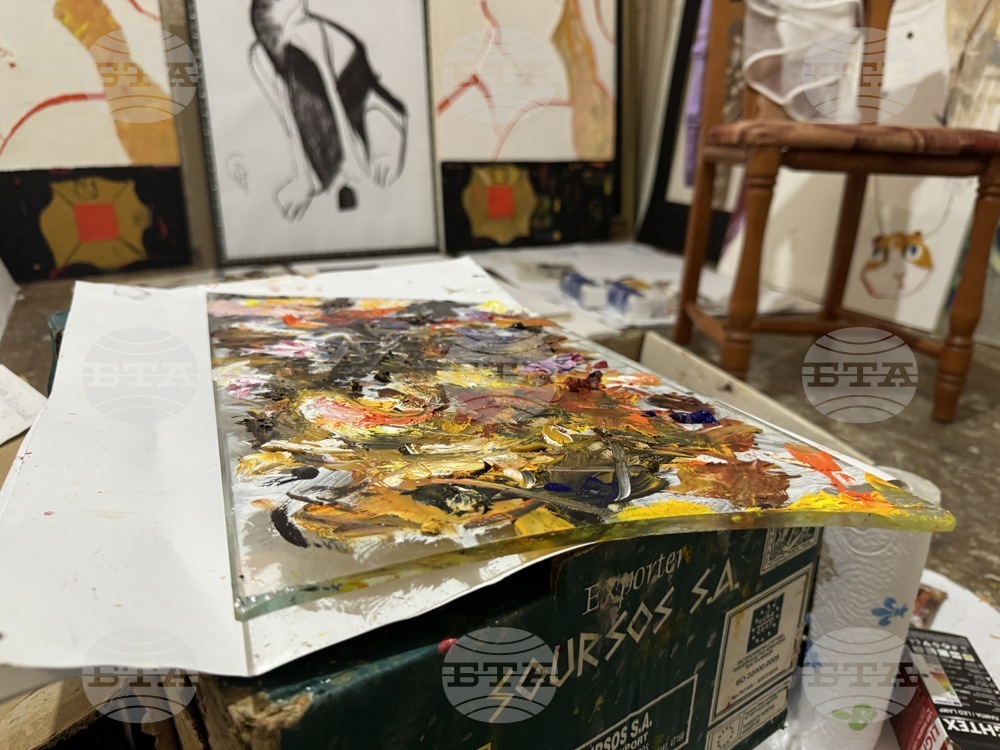 Стефанка Стойчева - „Погледни ме“ - изложба - предстоящо откриване - художествено ателие