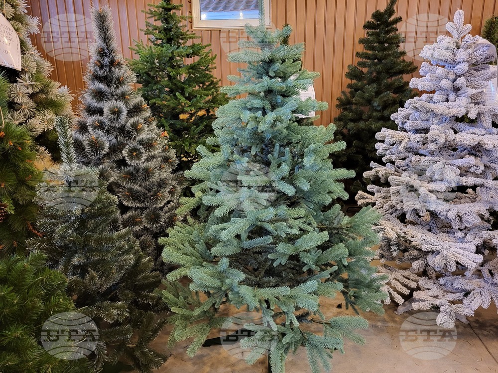 Продължава тенденцията за използване на изкуствени елхи и украси за празниците, според управителя на фабриката в Раковски