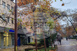 Търговище - коледна украса