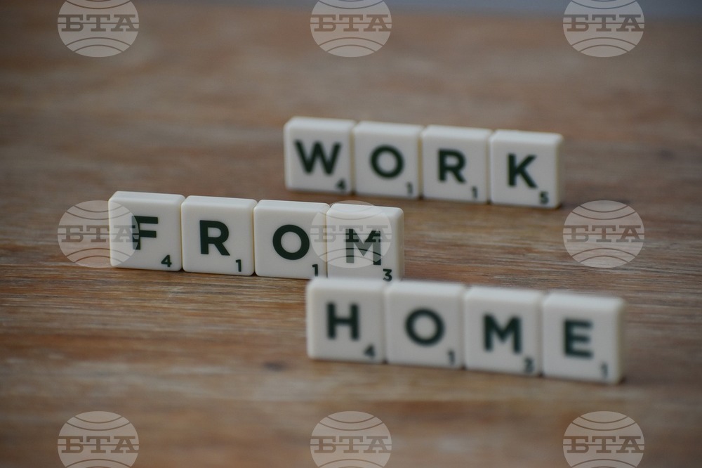 5.1% of Bulgaria's Population Worked Mostly from Home by September 2021