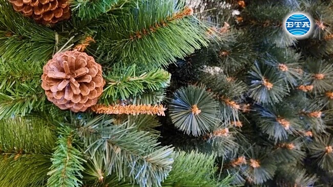 Продължава тенденцията за използване на изкуствени елхи и украси за празниците, според управителя на фабриката в Раковски
