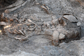 Варна - археолози - некрополни могили - проучвания