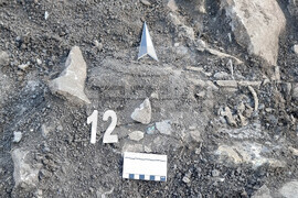 Варна - археолози - некрополни могили - проучвания