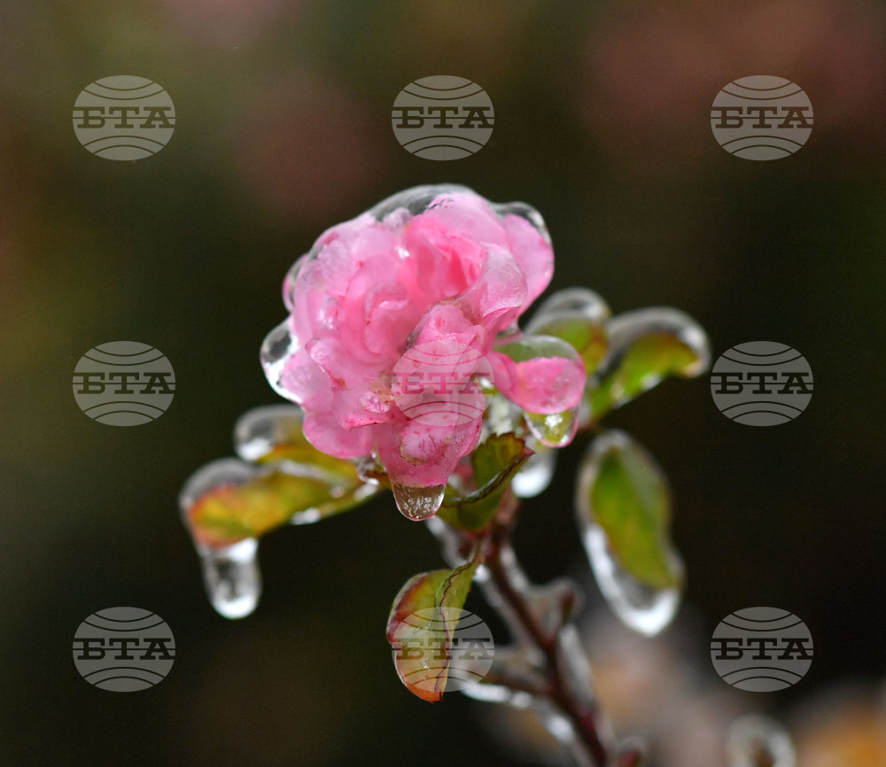 Исперих - ниски температури