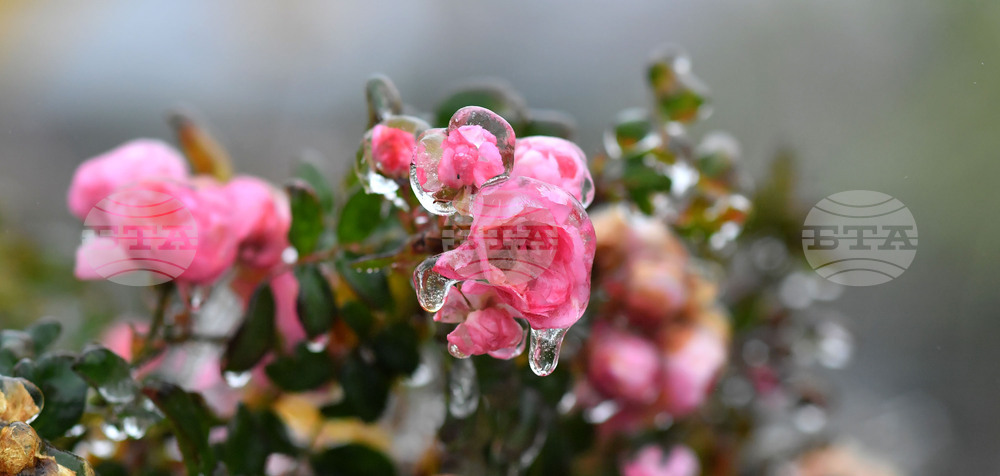 Исперих - ниски температури