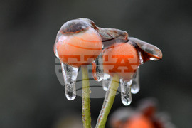 Исперих - ниски температури