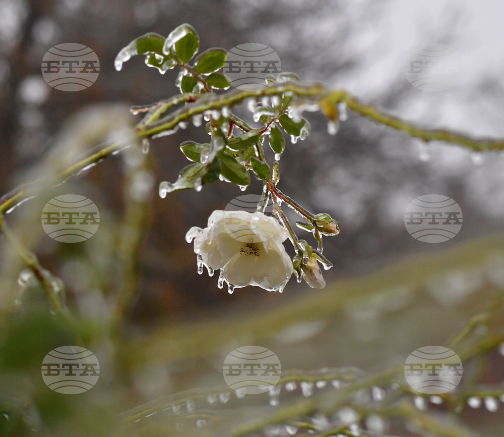 Исперих - ниски температури