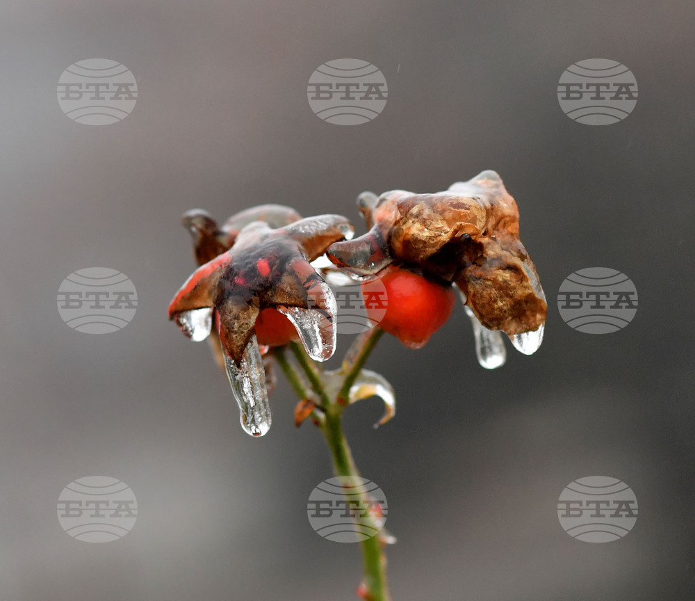 Исперих - ниски температури