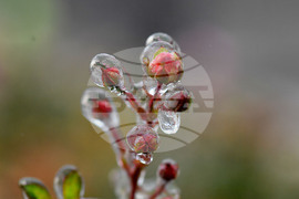 Исперих - ниски температури