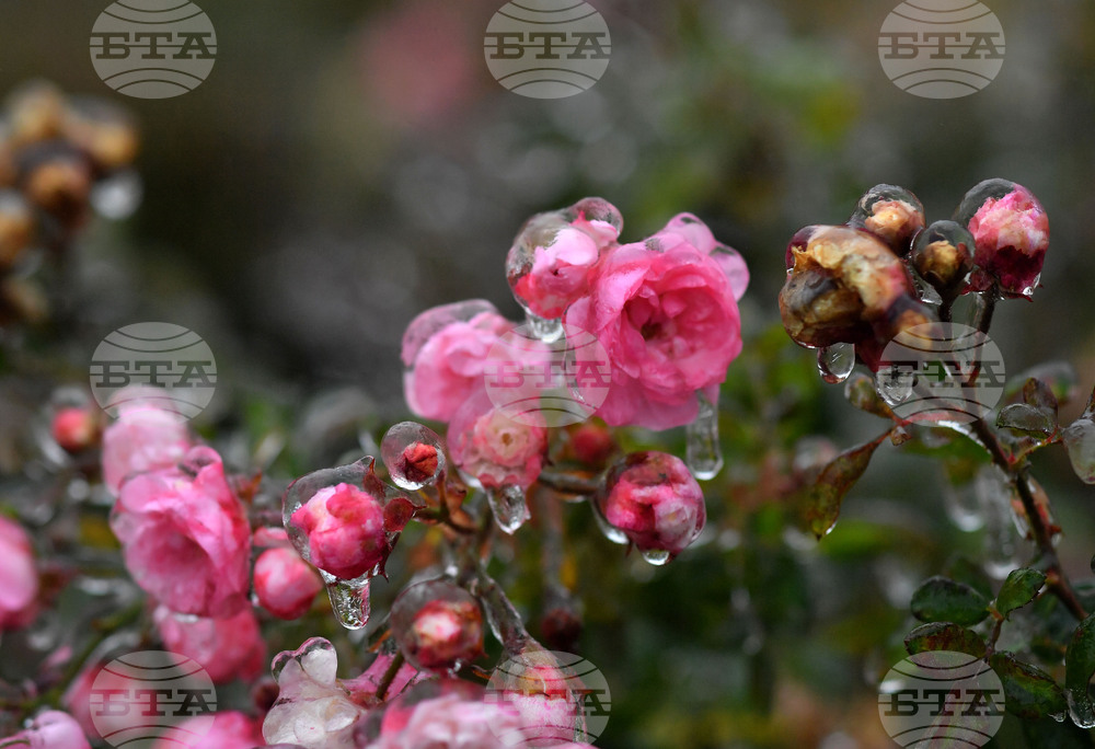 Исперих - ниски температури