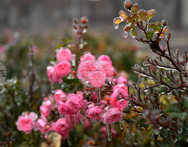 The Weather on March 29-30