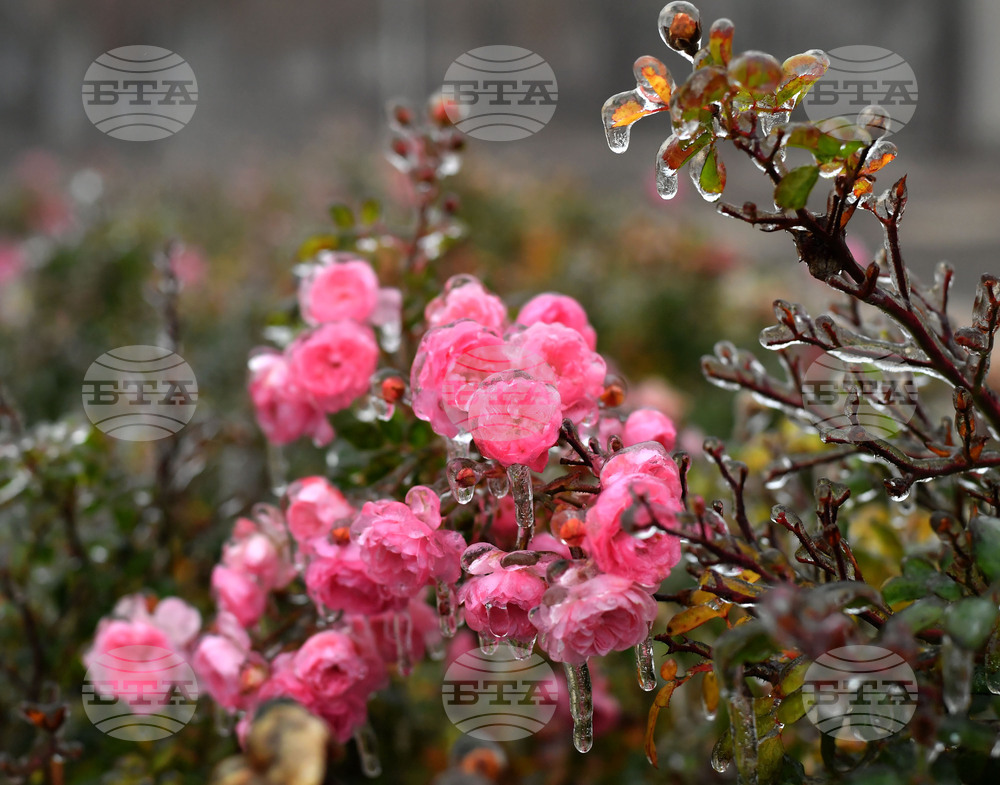 Исперих - ниски температури