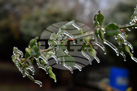 Исперих - ниски температури