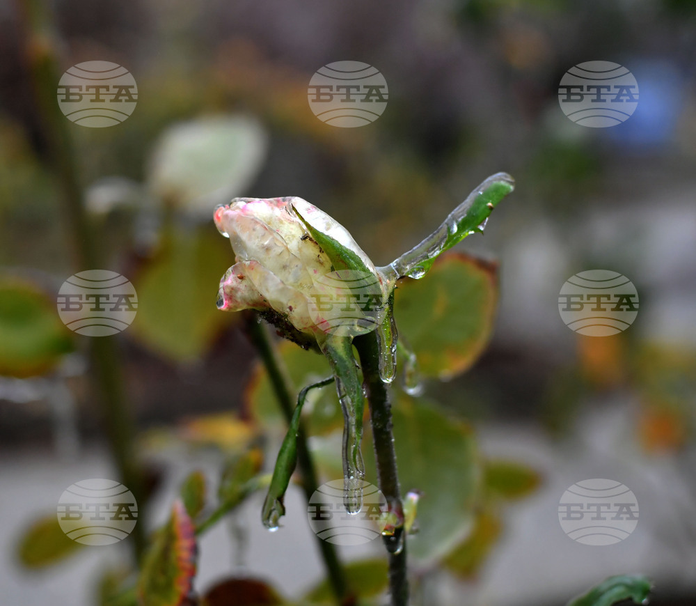 Исперих - ниски температури