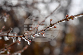 Исперих - ниски температури