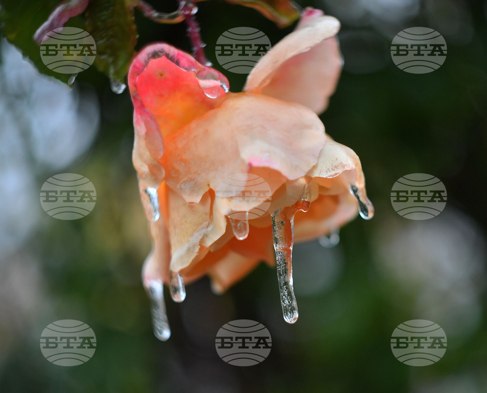 Исперих - ниски температури