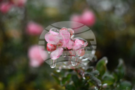 Исперих - ниски температури