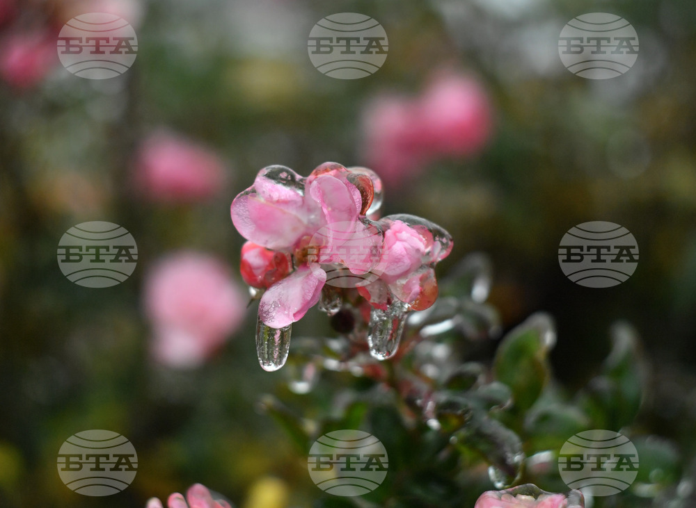 Исперих - ниски температури