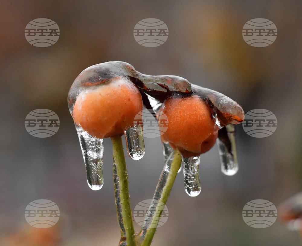 Исперих - ниски температури