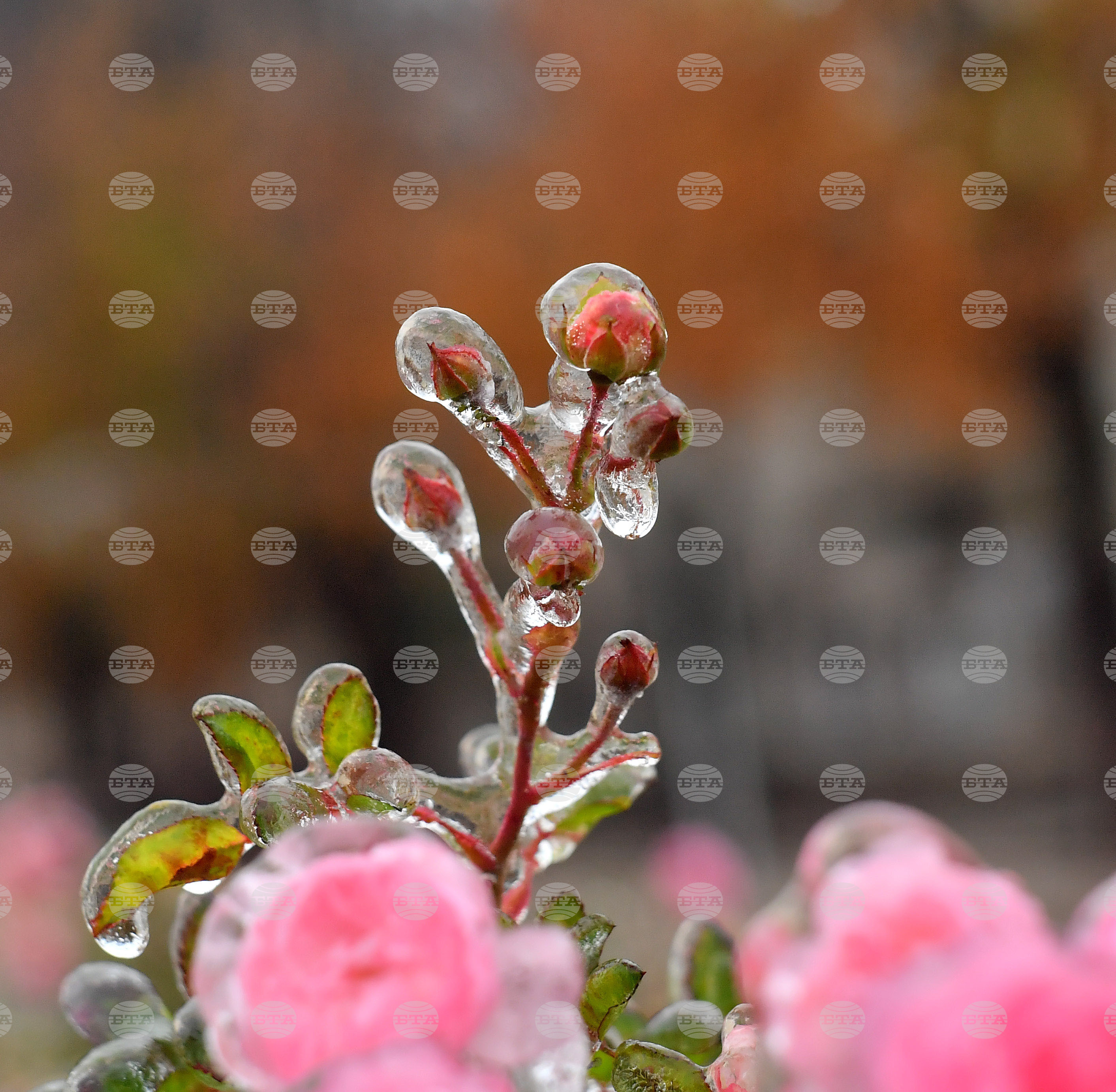 Исперих - ниски температури