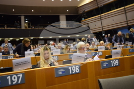 Белгия - Европейски парламент - конференция