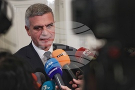 Парламент - Стефан Янев - брифинг