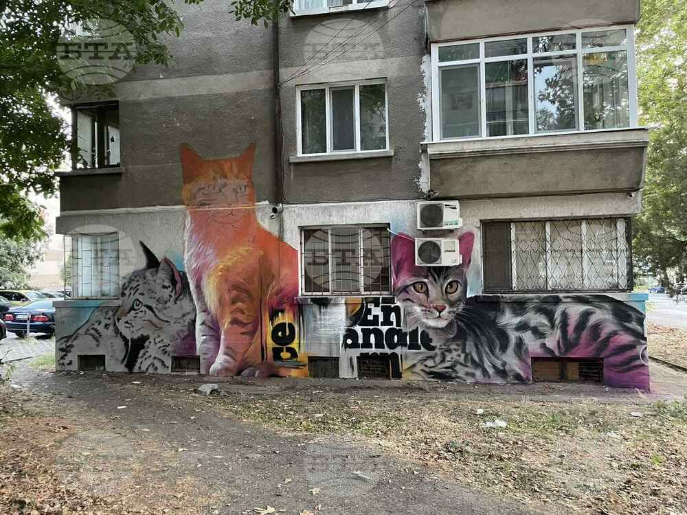 Бургаско сдружение обновява втора блокова фасада с графити изкуство