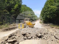 Снимка: АПИ