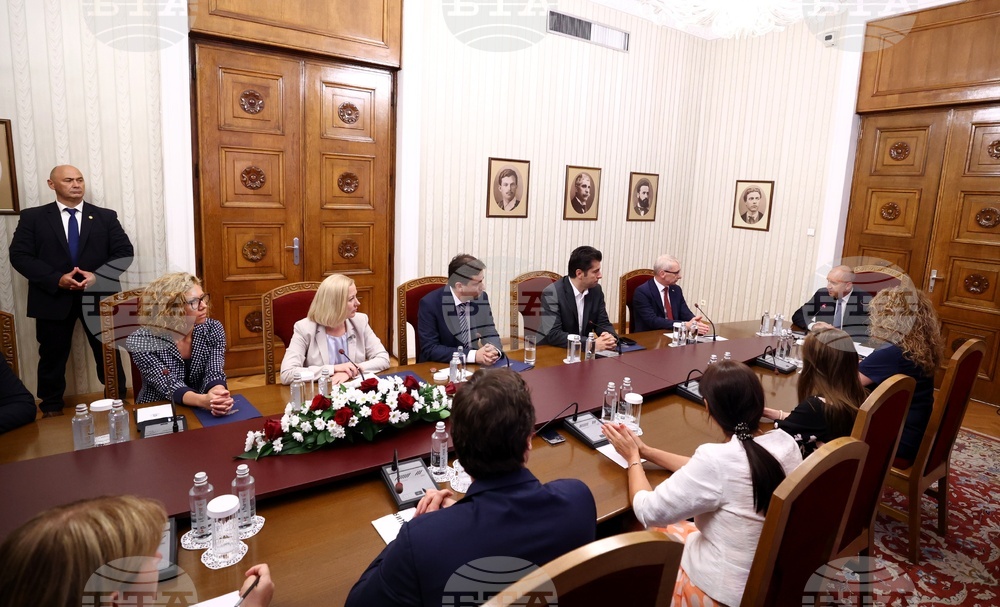 Румен Радев - „Продължаваме промяната-Демократична България“ - среща