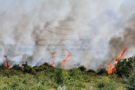 Варна - пожари