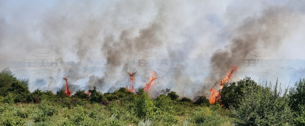 Варна - пожари