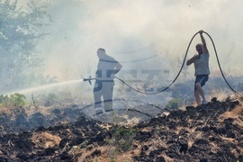 Варна - пожари