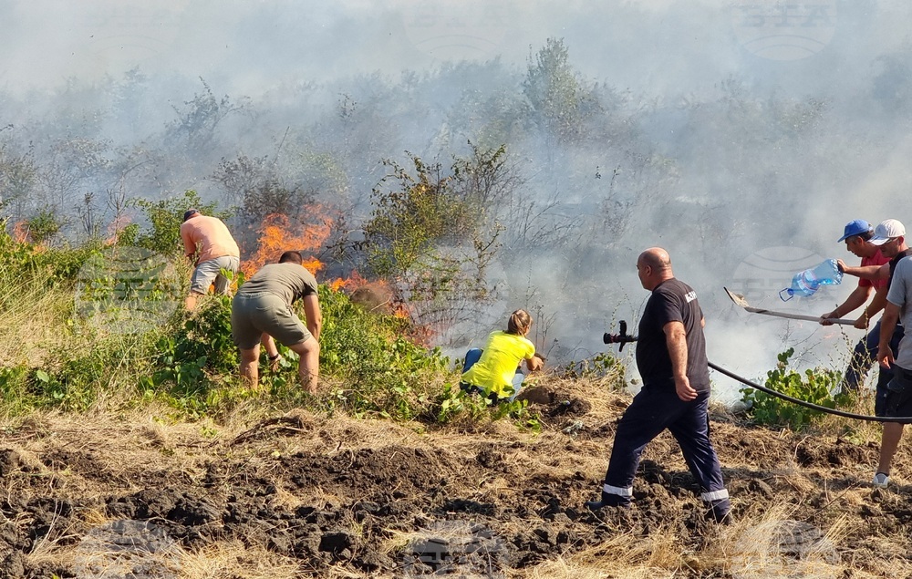 Варна - пожари