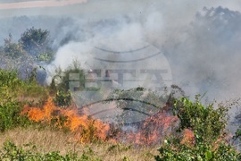 Варна - пожари