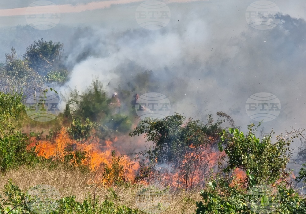 Варна - пожари