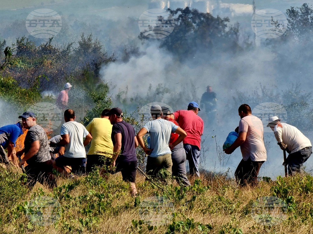 Варна - пожари