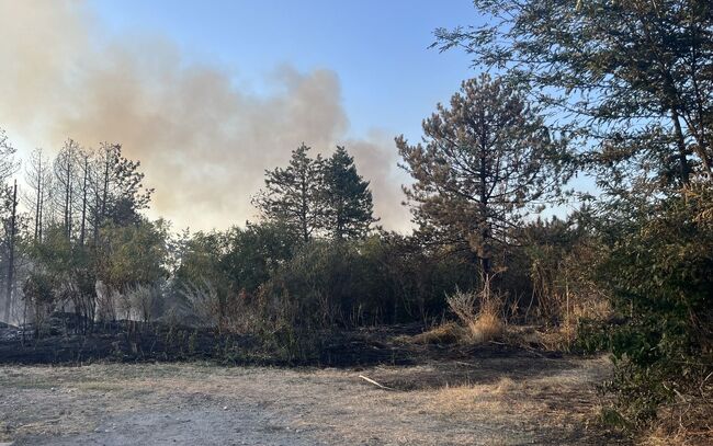 Областна администрация Русе: Опасност от най-висока степен е обявена за утре в Русе, поради очакваните горещини. Температурите ще надхвърлят 41° на сянка