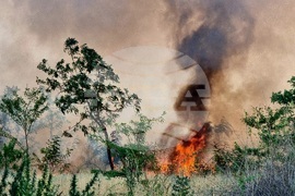 Варна - пожари