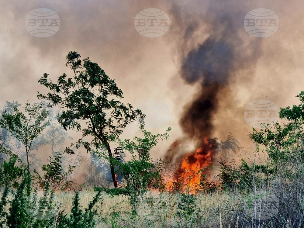 Варна - пожари
