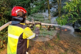 Варна - пожари