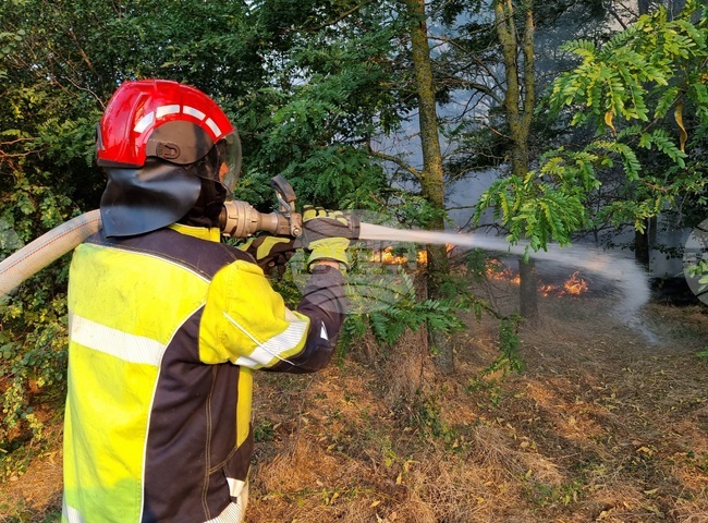 Варна - пожари