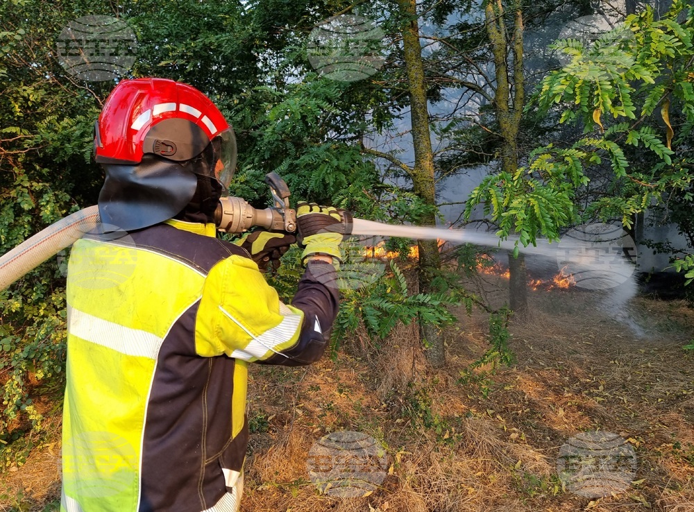 Варна - пожари