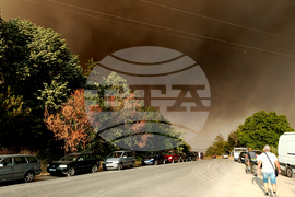 Стара Загора - вилна зона - пожар