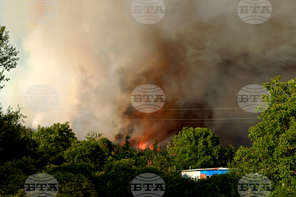 Стара Загора - вилна зона - пожар