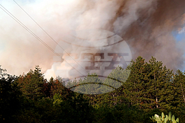 Стара Загора - вилна зона - пожар