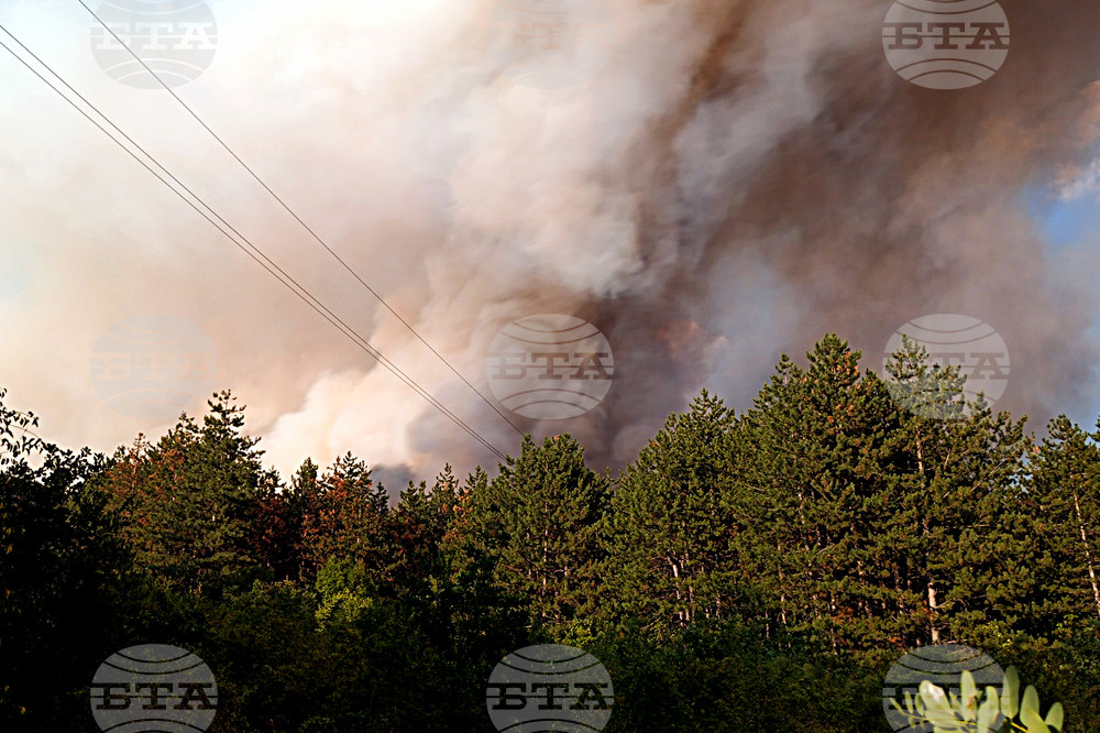Стара Загора - вилна зона - пожар