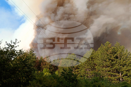 Стара Загора - вилна зона - пожар